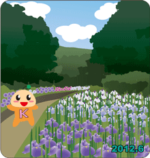 菖蒲まつり