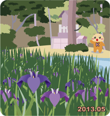 弁財天の池のカキツバタ