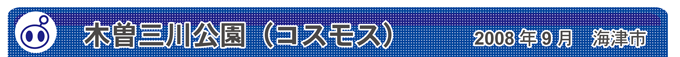 木曽三川公園（コスモス）　2008年9月　海津市