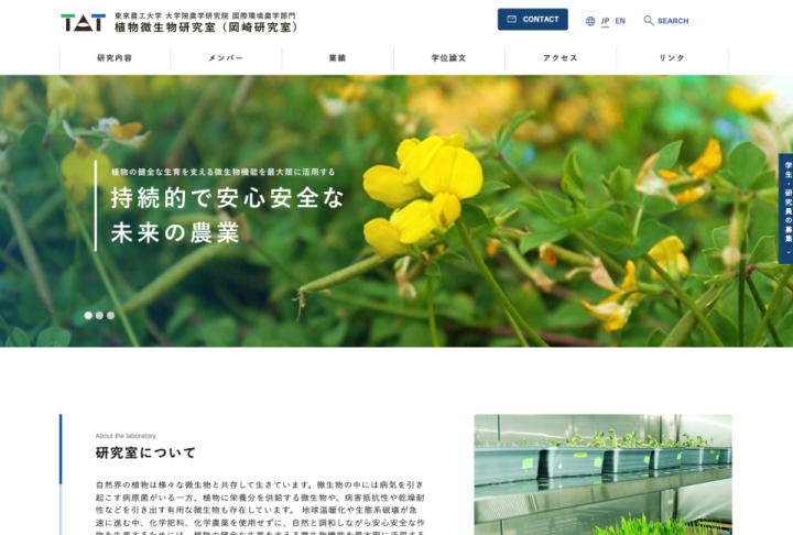 Webサイト構築